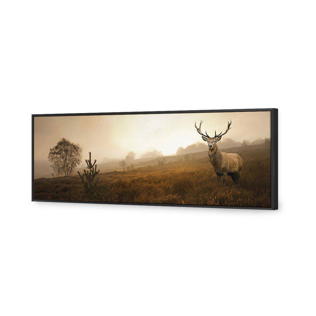 Morning Stag Canvas Art-Canvas-Wall Art Designs-60x20cm-Canvas - Black Frame-Wall Art Designs