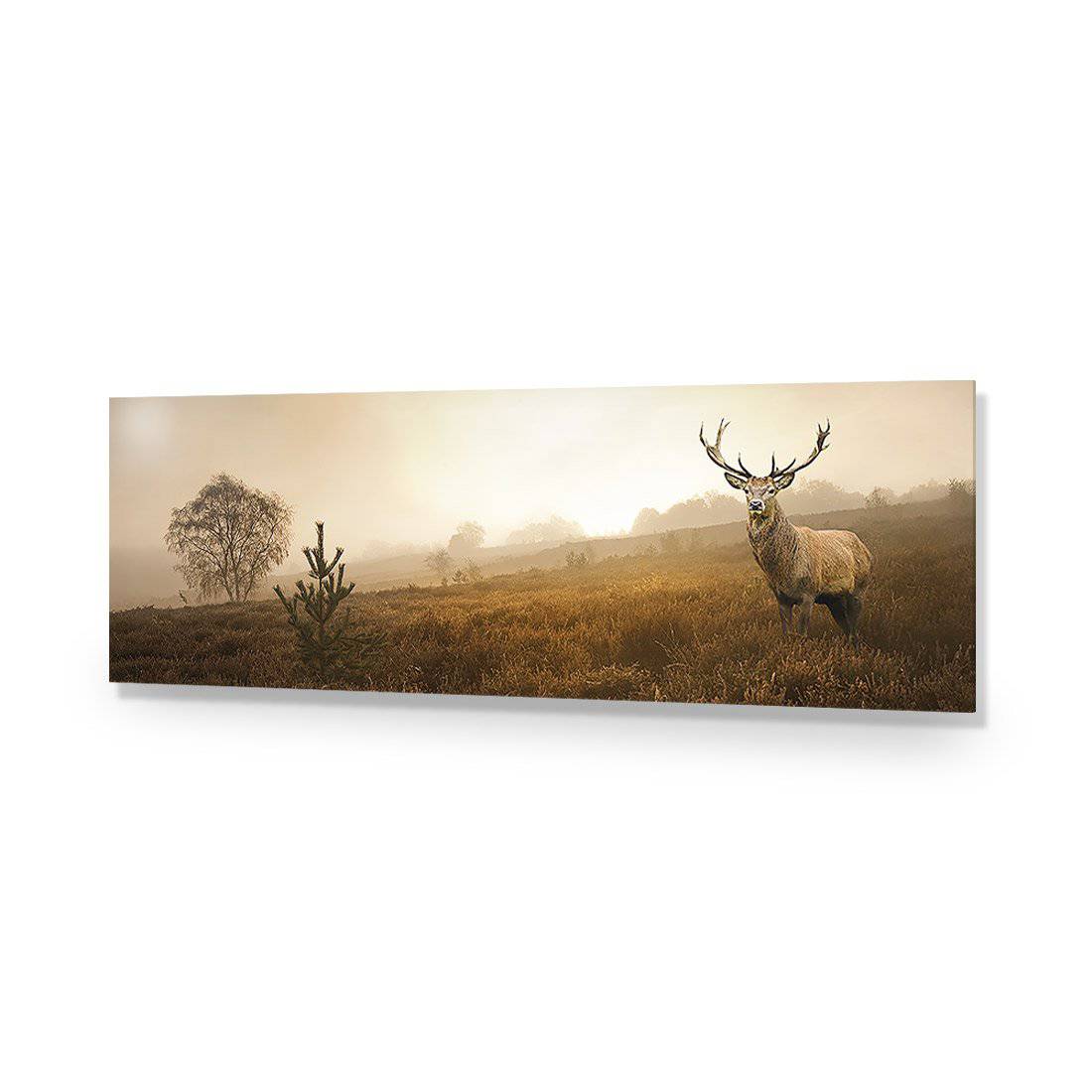 Morning Stag, Long-Acrylic-Wall Art Design-Without Border-Acrylic - No Frame-60x20cm-Wall Art Designs