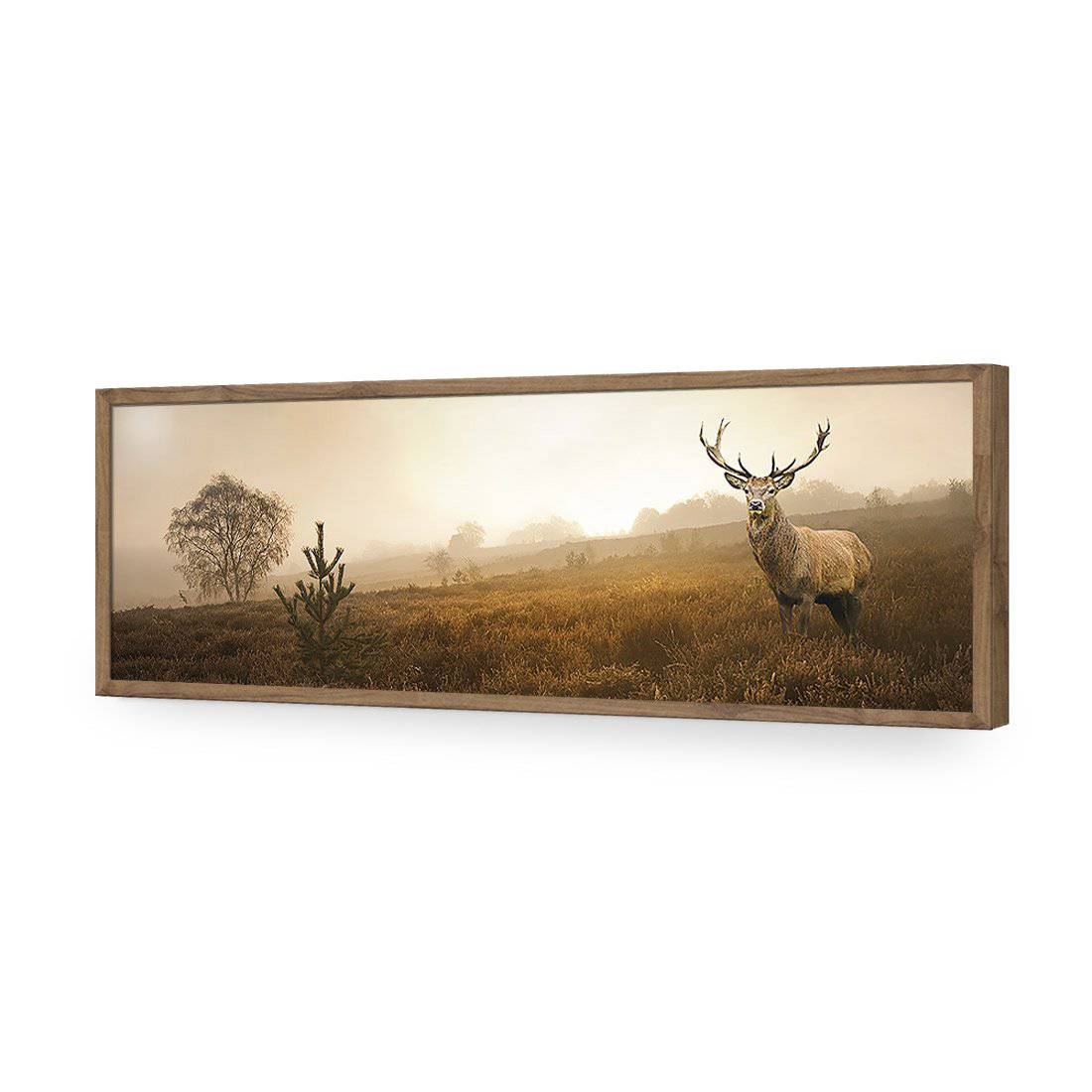 Morning Stag, Long-Acrylic-Wall Art Design-Without Border-Acrylic - Natural Frame-60x20cm-Wall Art Designs