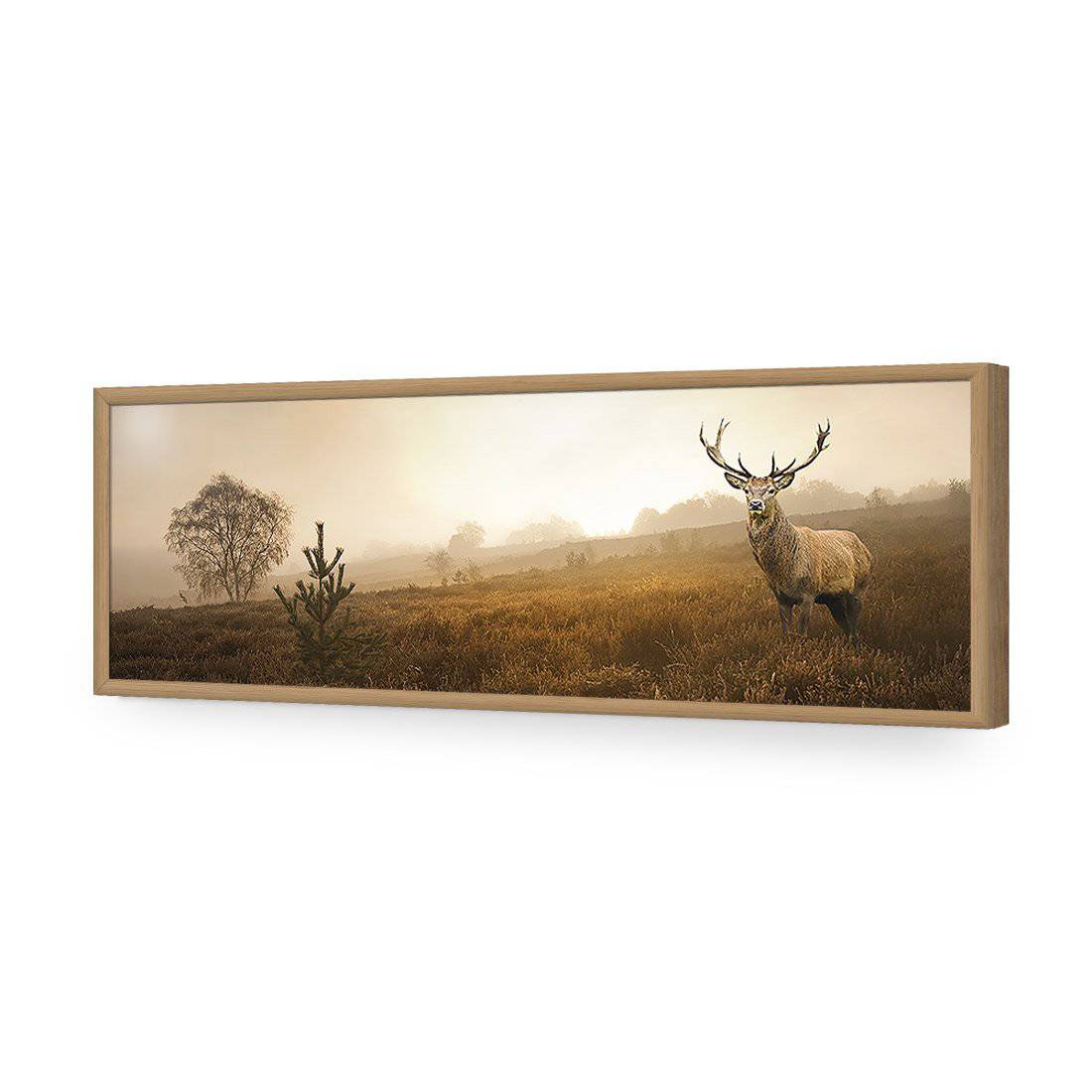 Morning Stag, Long-Acrylic-Wall Art Design-Without Border-Acrylic - Oak Frame-60x20cm-Wall Art Designs