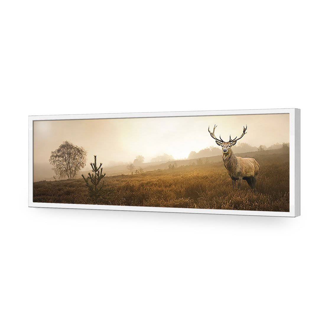 Morning Stag, Long-Acrylic-Wall Art Design-Without Border-Acrylic - White Frame-60x20cm-Wall Art Designs