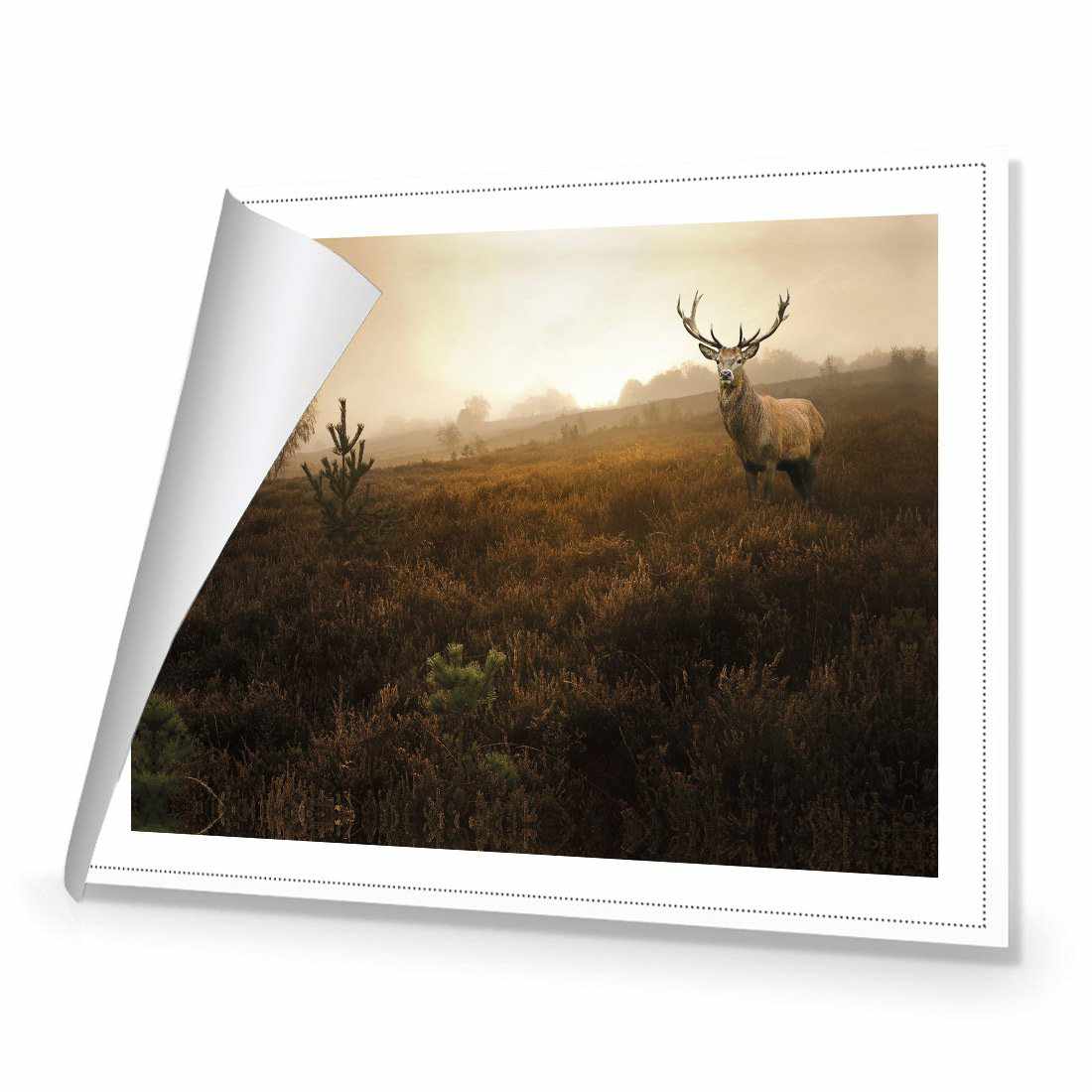 Morning Stag Canvas Art-Canvas-Wall Art Designs-45x30cm-Rolled Canvas-Wall Art Designs