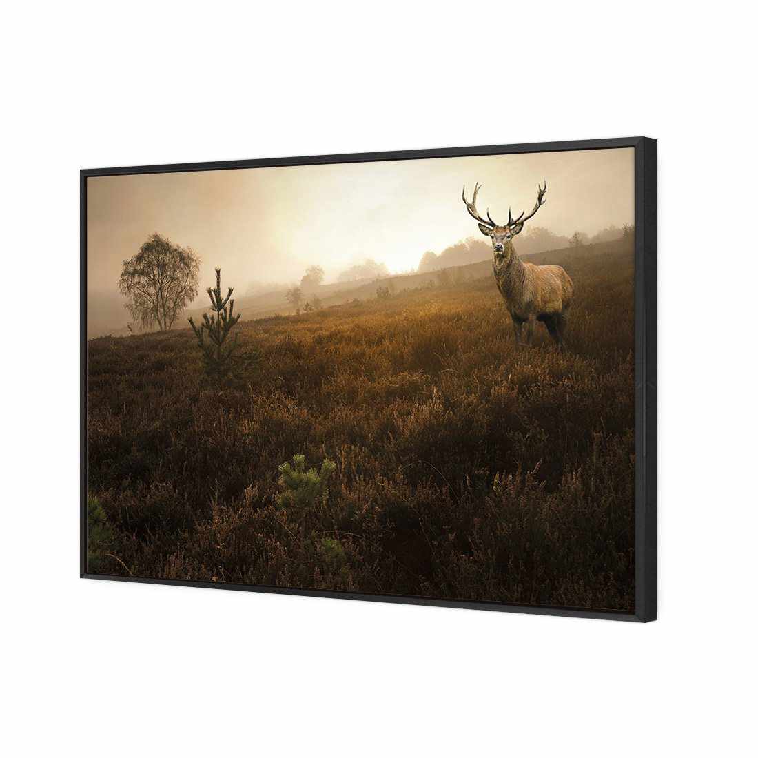 Morning Stag Canvas Art-Canvas-Wall Art Designs-45x30cm-Canvas - Black Frame-Wall Art Designs