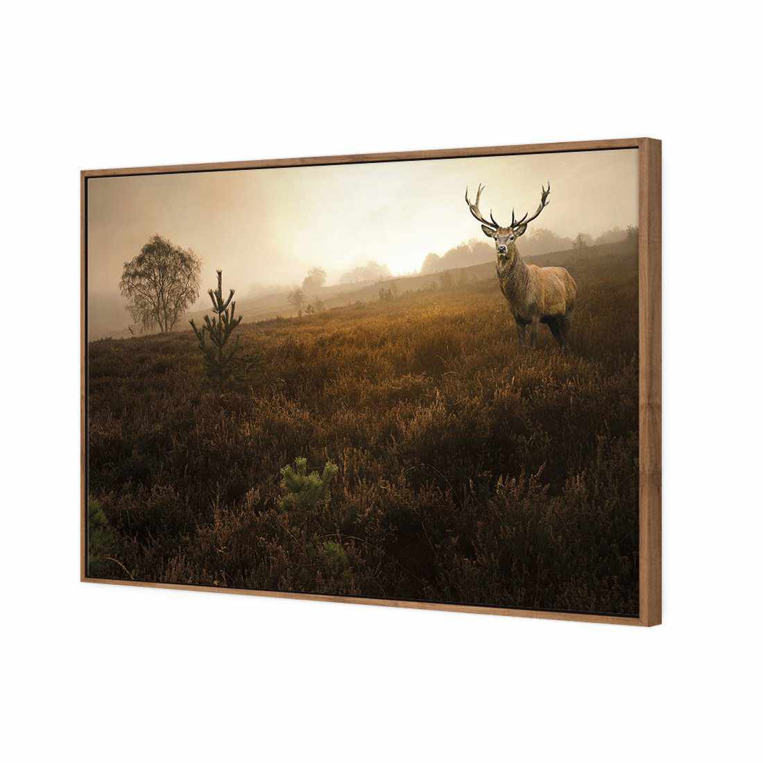 Morning Stag Canvas Art-Canvas-Wall Art Designs-45x30cm-Canvas - Natural Frame-Wall Art Designs