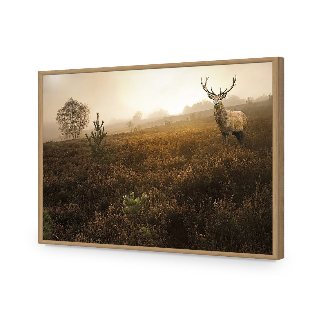 Morning Stag Acrylic Glass Art