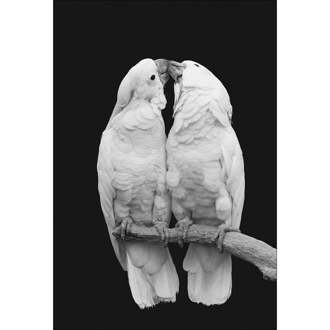 Parrots Kissing, B&W Canvas Art-Canvas-Wall Art Designs-45x30cm-Canvas - No Frame-Wall Art Designs
