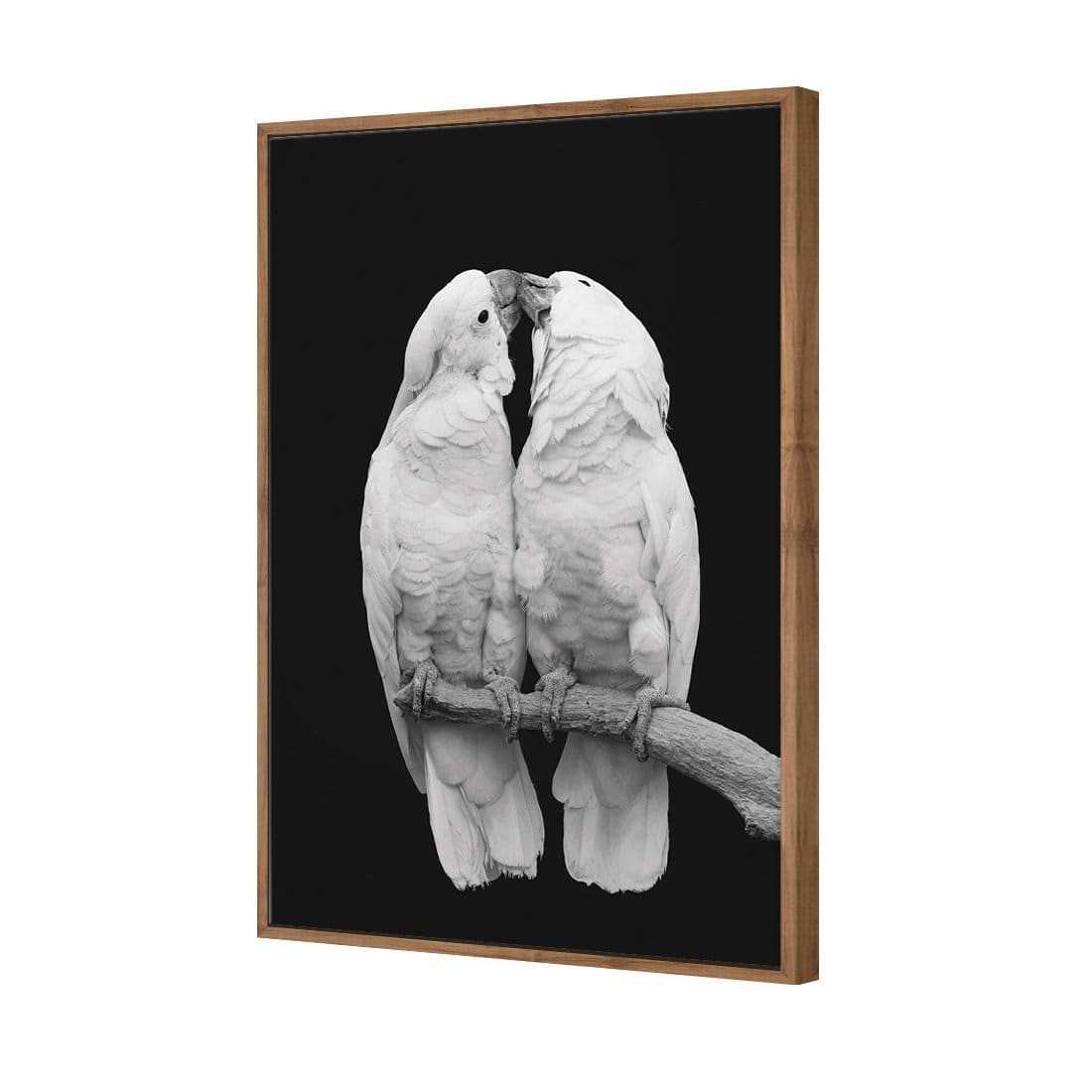 Parrots Kissing, B&W Canvas Art-Canvas-Wall Art Designs-45x30cm-Canvas - Natural Frame-Wall Art Designs
