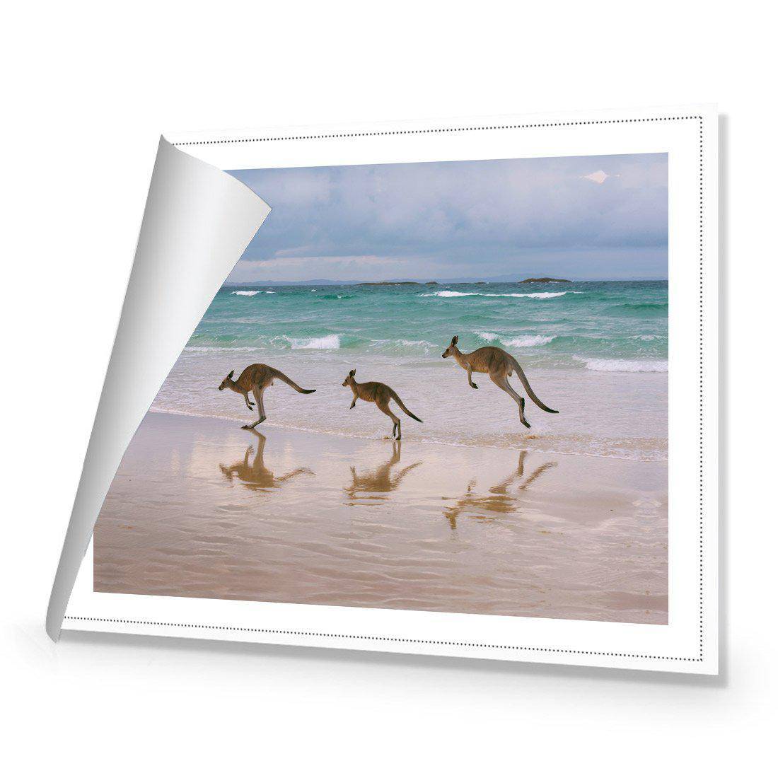 Kangaroos on Vacation Canvas Art-Canvas-Wall Art Designs-45x30cm-Rolled Canvas-Wall Art Designs