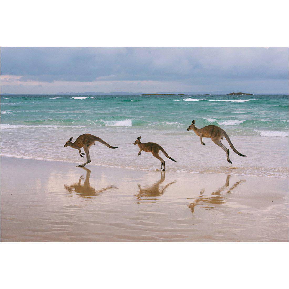 Kangaroos on Vacation Canvas Art-Canvas-Wall Art Designs-45x30cm-Canvas - No Frame-Wall Art Designs