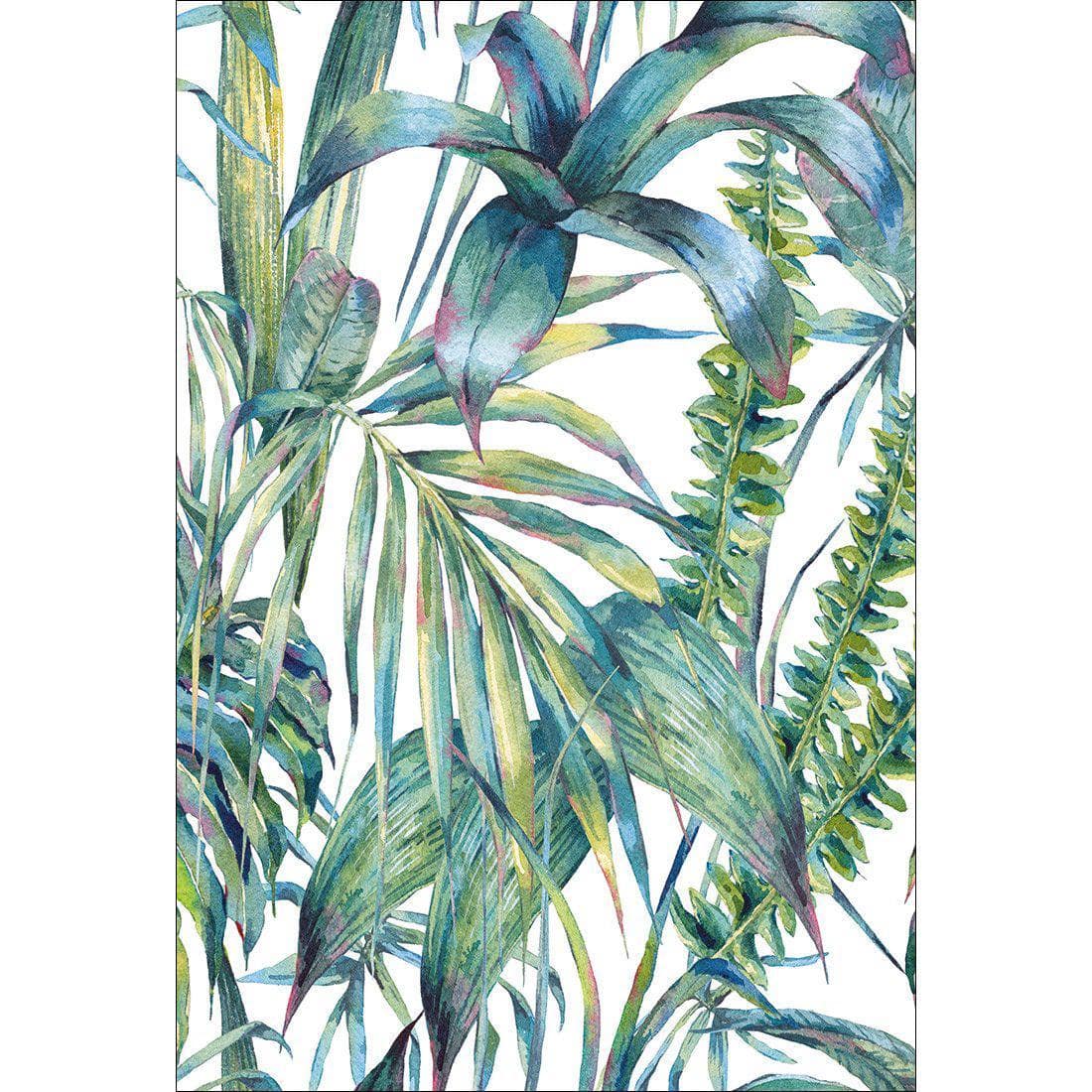 Tropical Collective On White