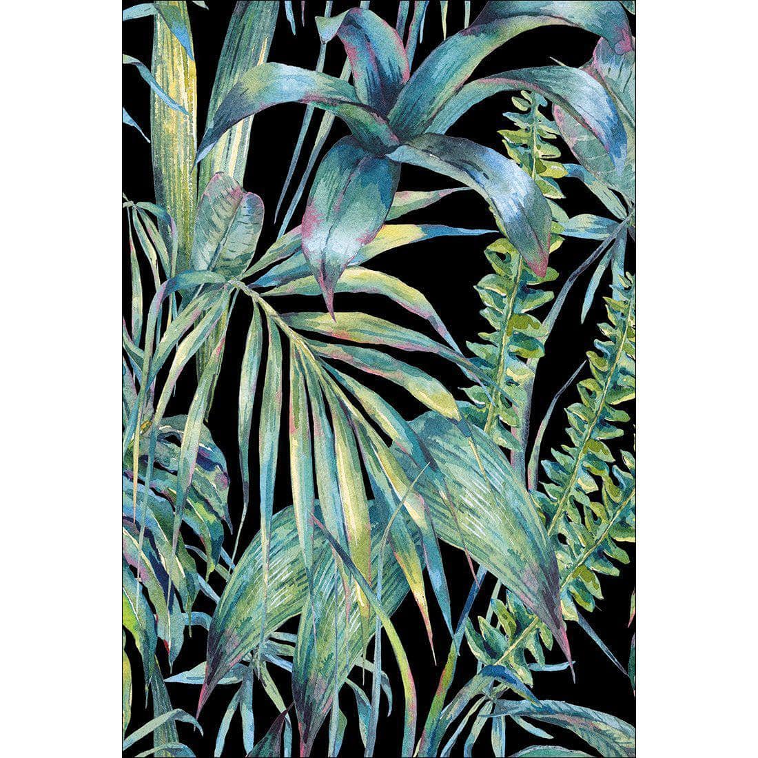 Tropical Collective On Black