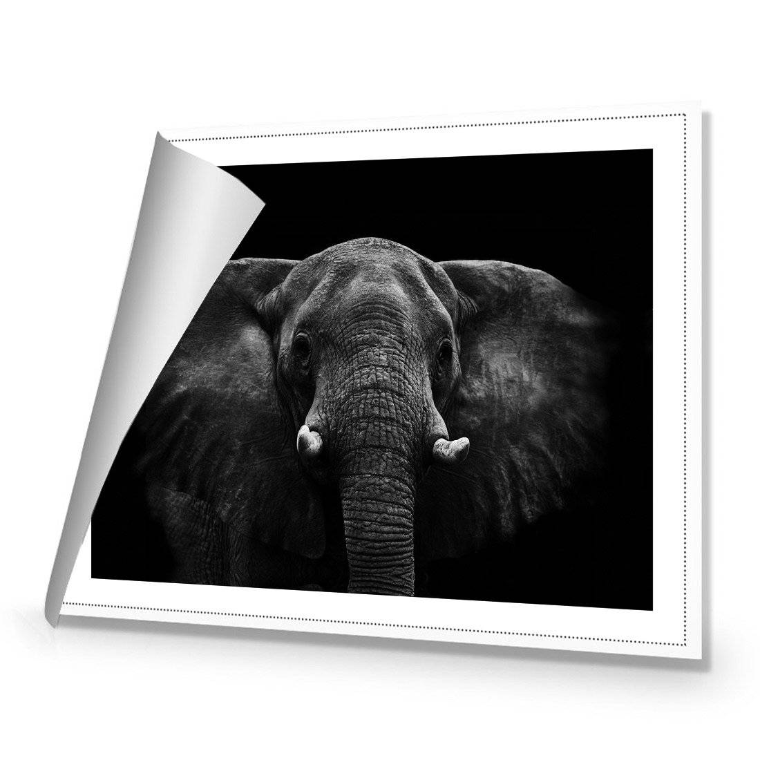 Regal Elephant Canvas Art-Canvas-Wall Art Designs-45x30cm-Rolled Canvas-Wall Art Designs