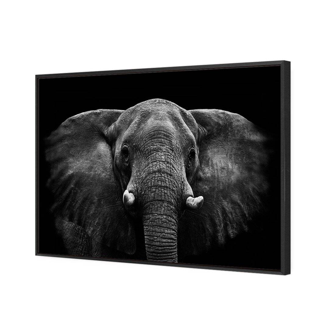 Regal Elephant Canvas Art-Canvas-Wall Art Designs-45x30cm-Canvas - Black Frame-Wall Art Designs