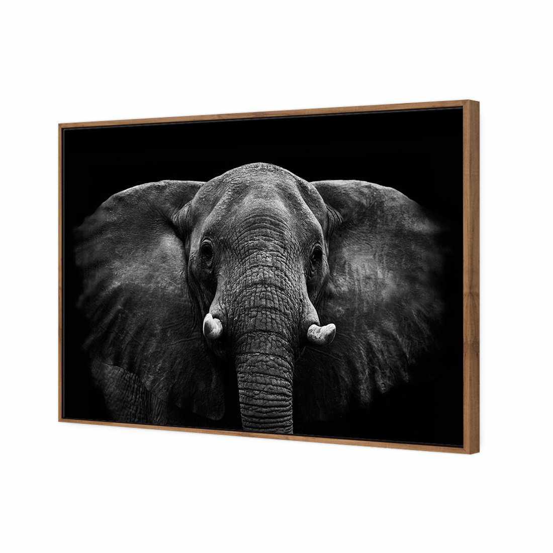 Regal Elephant Canvas Art-Canvas-Wall Art Designs-45x30cm-Canvas - Natural Frame-Wall Art Designs
