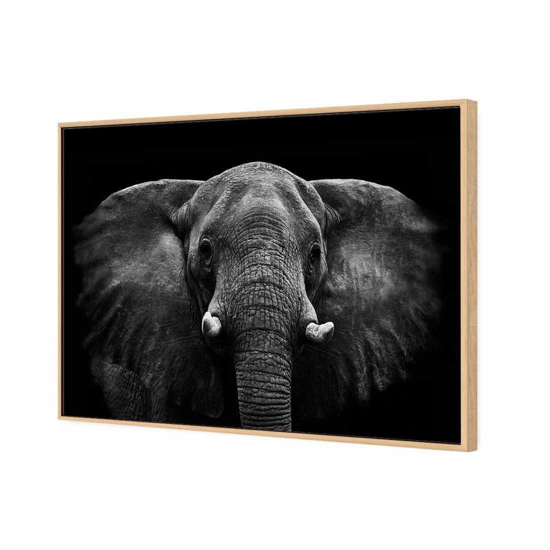 Regal Elephant Canvas Art-Canvas-Wall Art Designs-45x30cm-Canvas - Oak Frame-Wall Art Designs