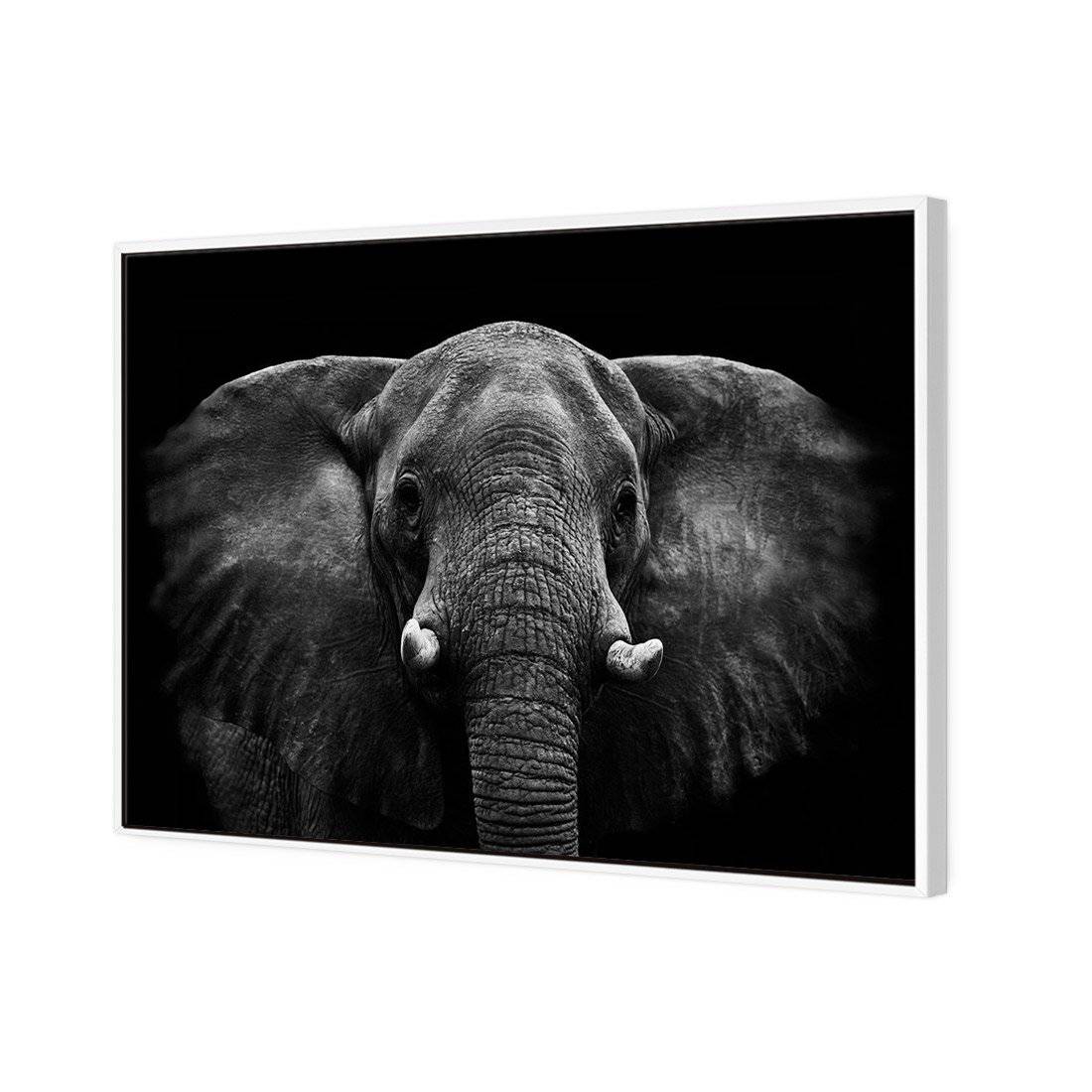 Regal Elephant Canvas Art-Canvas-Wall Art Designs-45x30cm-Canvas - White Frame-Wall Art Designs