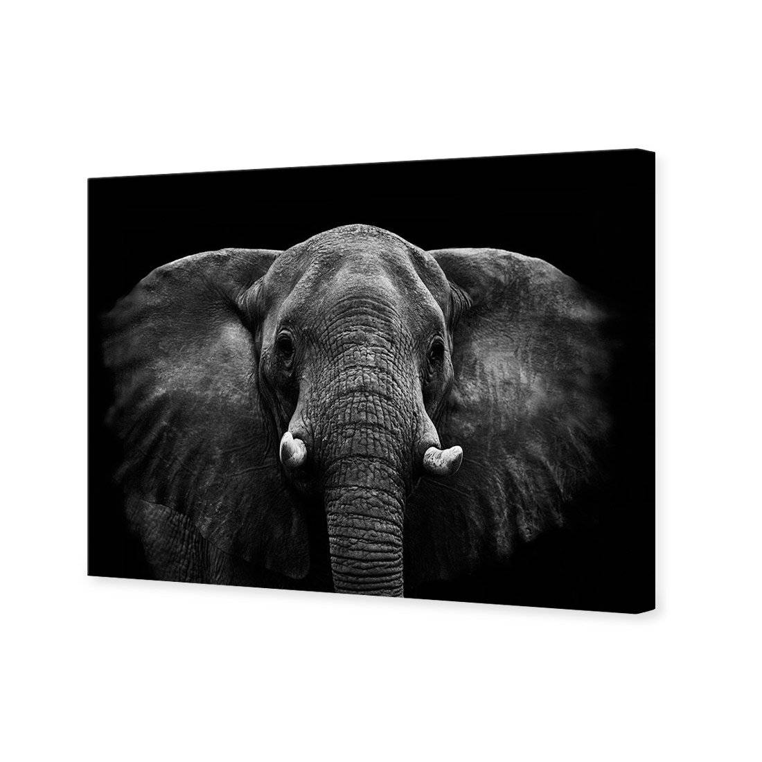 Regal Elephant Canvas Art-Canvas-Wall Art Designs-45x30cm-Canvas - No Frame-Wall Art Designs