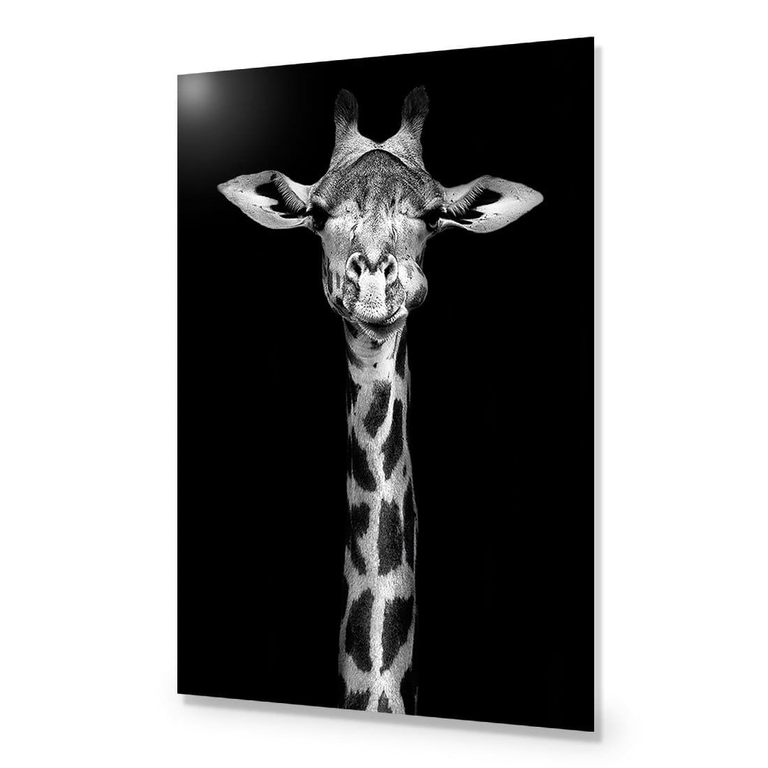 Thornycroft Giraffe-Acrylic-Wall Art Design-Without Border-Acrylic - No Frame-45x30cm-Wall Art Designs