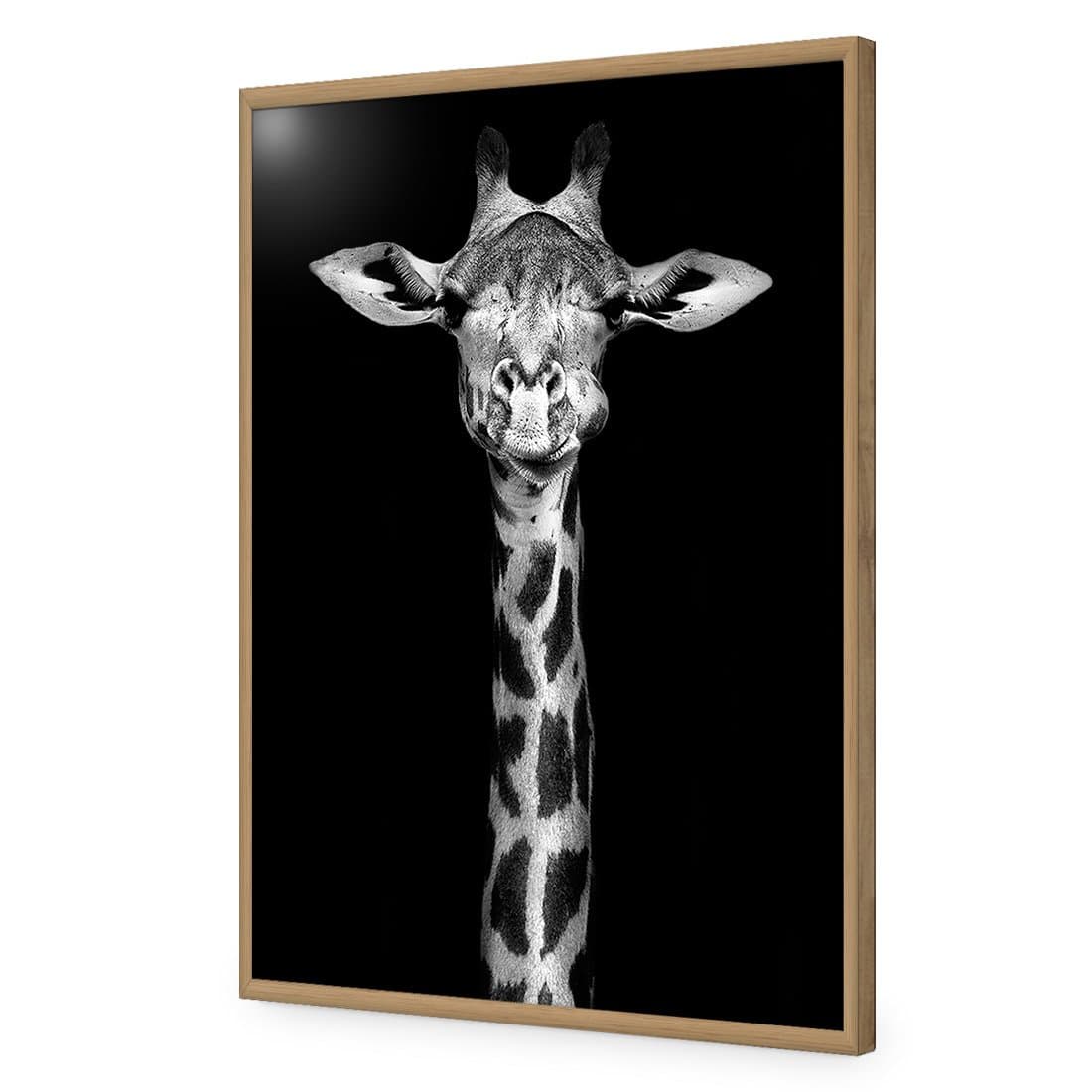 Thornycroft Giraffe-Acrylic-Wall Art Design-Without Border-Acrylic - Oak Frame-45x30cm-Wall Art Designs