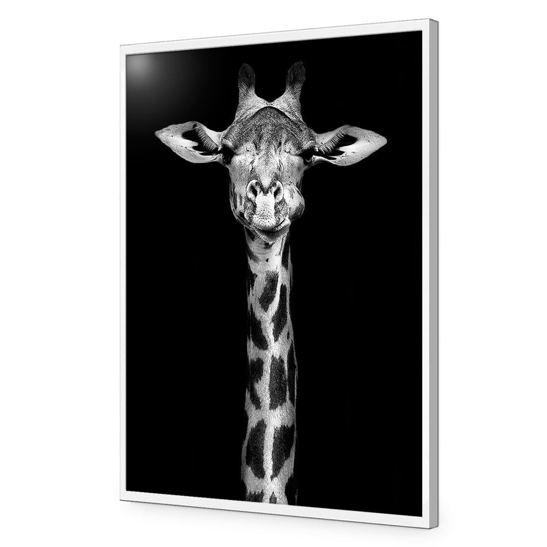 Thornycroft Giraffe-Acrylic-Wall Art Design-Without Border-Acrylic - White Frame-45x30cm-Wall Art Designs