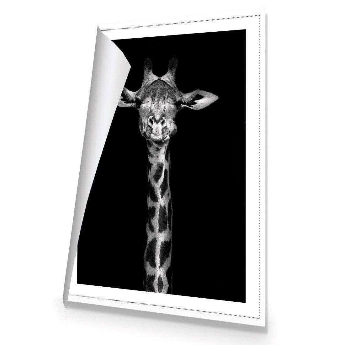 Thornycroft Giraffe Canvas Art-Canvas-Wall Art Designs-45x30cm-Rolled Canvas-Wall Art Designs