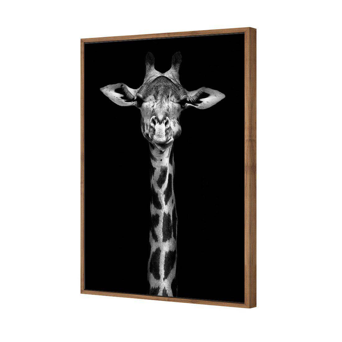 Thornycroft Giraffe | Standard Canvas | Floating Frame | Natural