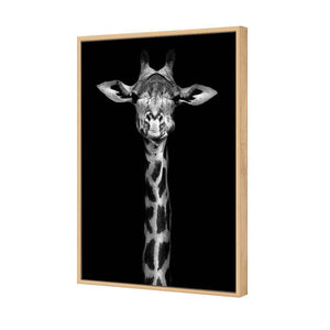 Thornycroft Giraffe | Standard Canvas | Floating Frame | Oak