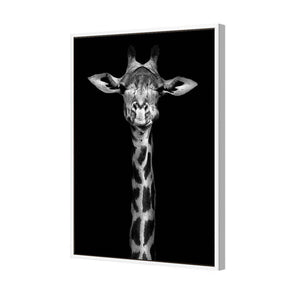 Thornycroft Giraffe | Standard Canvas | Floating Frame | White