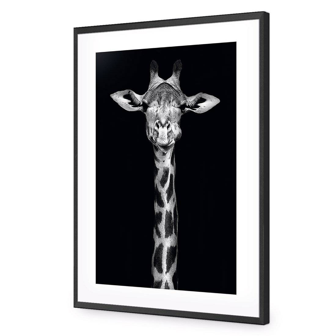 Thornycroft Giraffe-Acrylic-Wall Art Design-With Border-Acrylic - Black Frame-45x30cm-Wall Art Designs