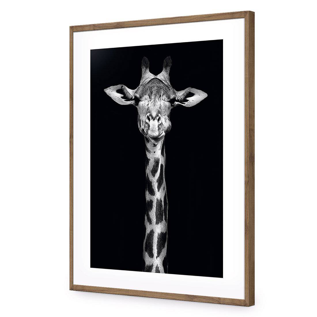 Thornycroft Giraffe-Acrylic-Wall Art Design-With Border-Acrylic - Natural Frame-45x30cm-Wall Art Designs