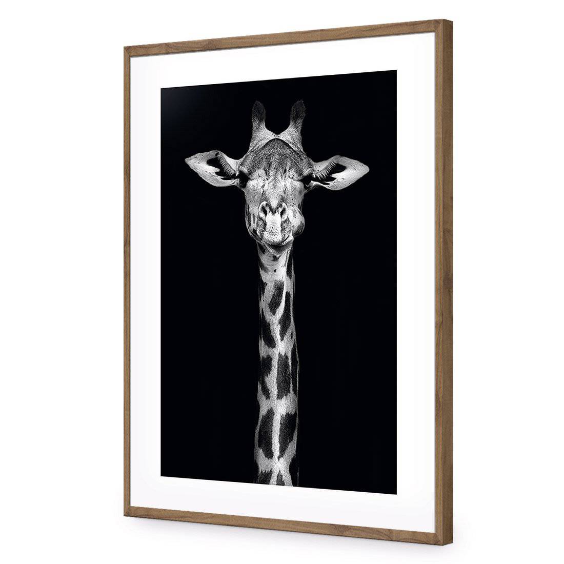 Thornycroft Giraffe | Standard Acrylic | Flat Frame With Border | Natural
