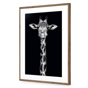 Thornycroft Giraffe | Standard Acrylic | Flat Frame With Border | Natural