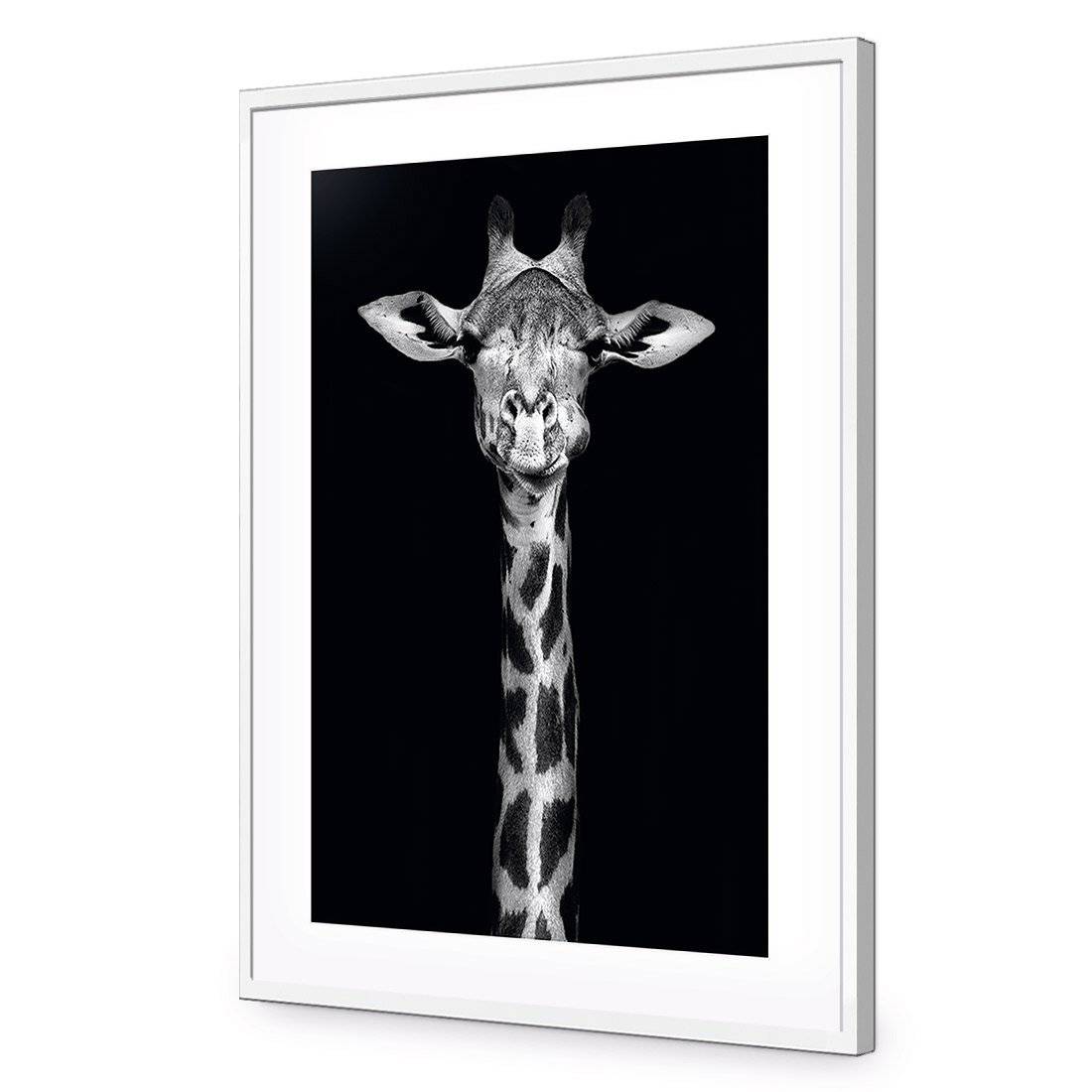Thornycroft Giraffe-Acrylic-Wall Art Design-With Border-Acrylic - White Frame-45x30cm-Wall Art Designs