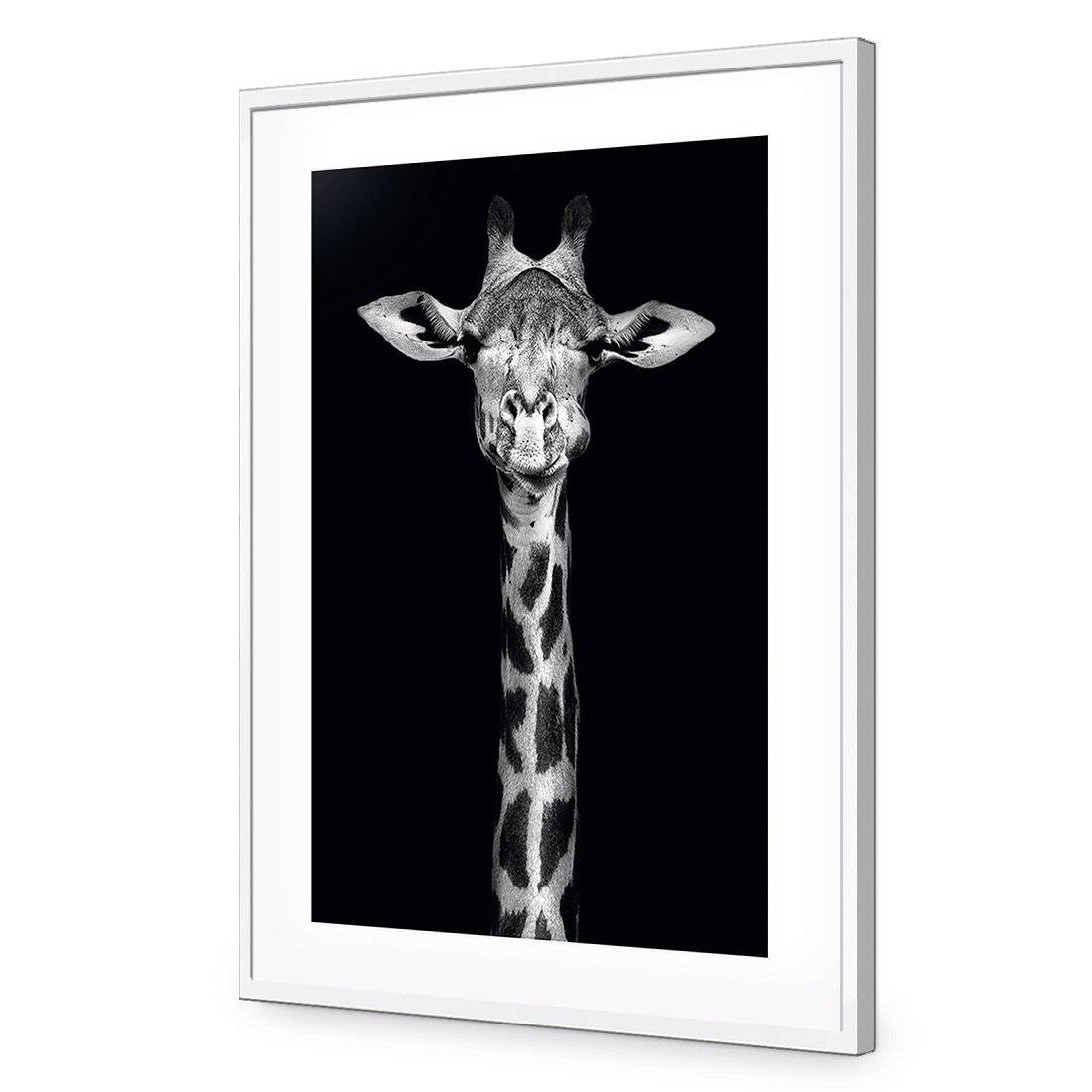 Thornycroft Giraffe | Standard Acrylic | Flat Frame With Border | White