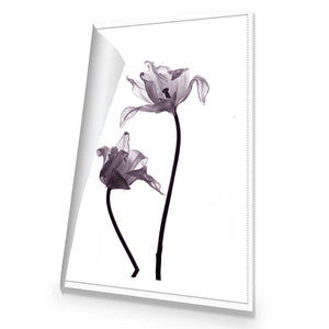 Tulip Transparency 1 | Standard Canvas | No Frame | Rolled Canvas