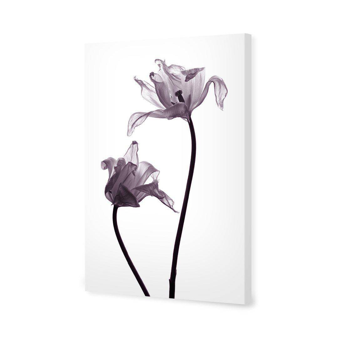 Tulip Transparency 1 | Standard Canvas | No Frame | Stretched Canvas