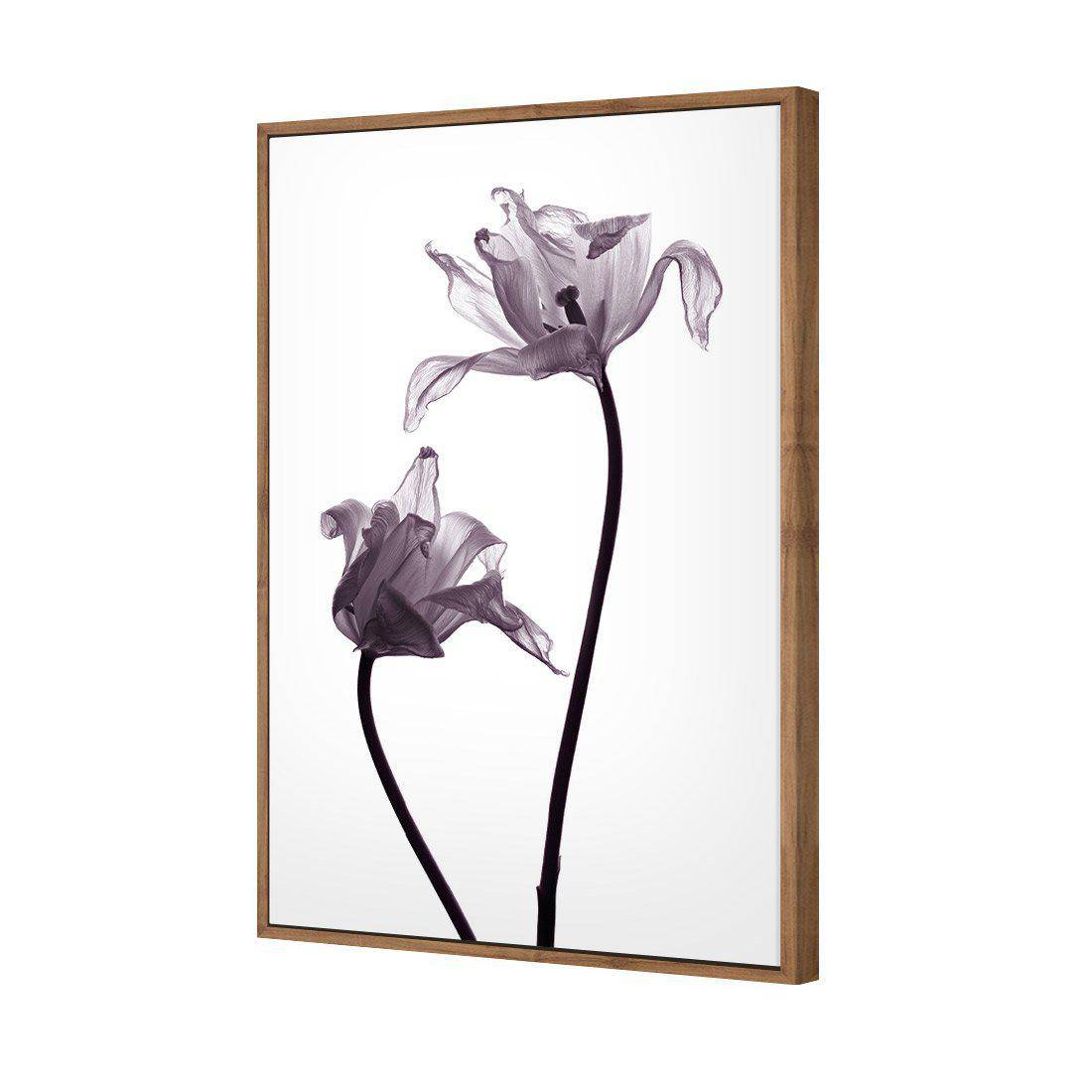 Tulip Transparency 1 Canvas Art-Canvas-Wall Art Designs-45x30cm-Canvas - Natural Frame-Wall Art Designs