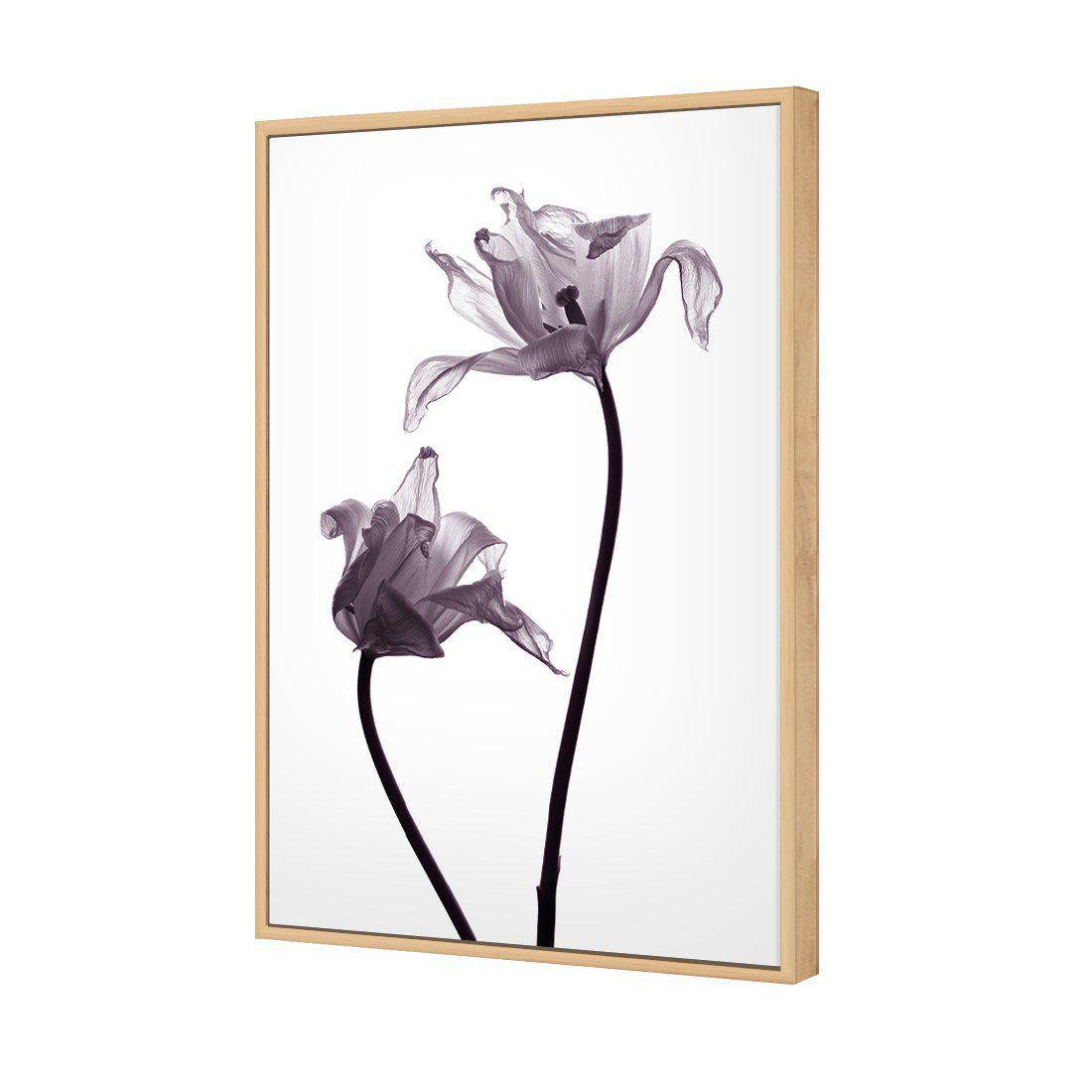 Tulip Transparency 1 | Standard Canvas | Floating Frame | Oak