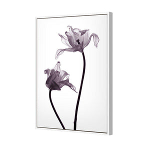 Tulip Transparency 1 | Standard Canvas | Floating Frame | White