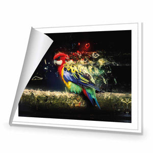 Shaking off the Day | Standard Canvas | No Frame | Rolled Canvas