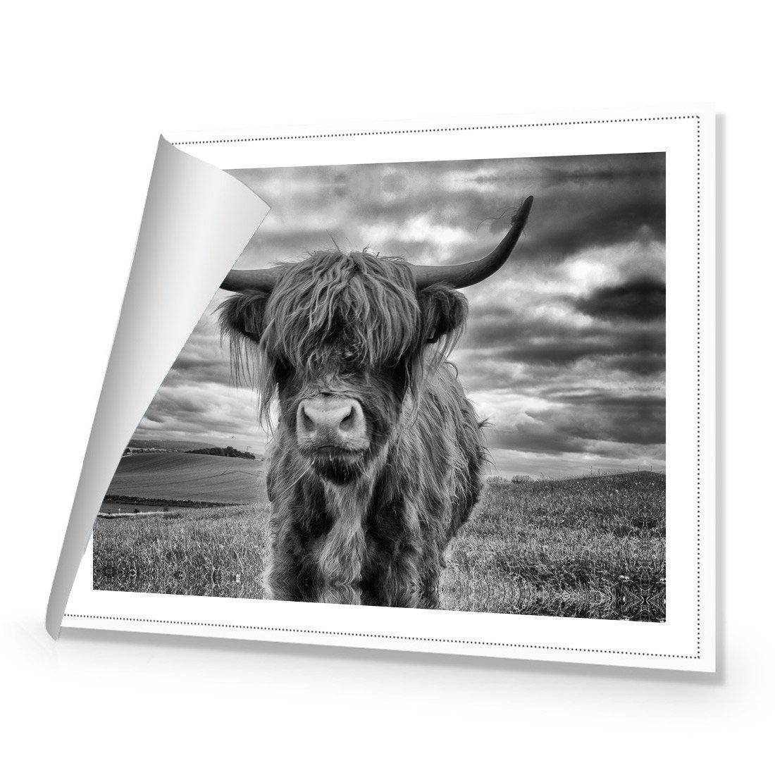 Stormy the Highland Cow Canvas Art-Canvas-Wall Art Designs-45x30cm-Rolled Canvas-Wall Art Designs