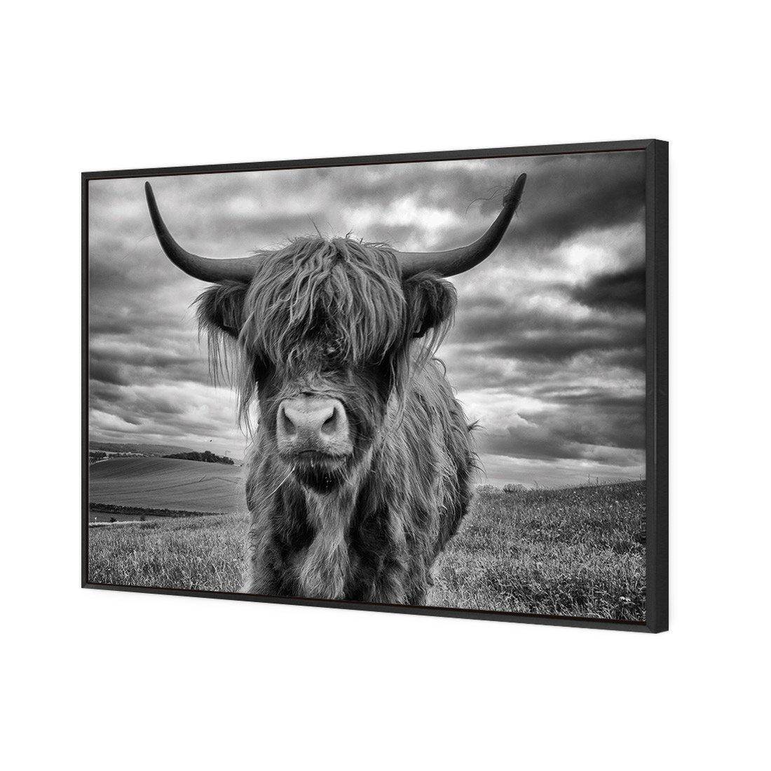 Stormy the Highland Cow Canvas Art-Canvas-Wall Art Designs-45x30cm-Canvas - Black Frame-Wall Art Designs