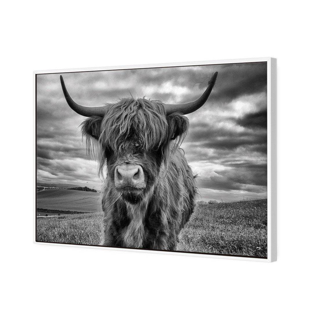 Stormy the Highland Cow Canvas Art-Canvas-Wall Art Designs-45x30cm-Canvas - White Frame-Wall Art Designs