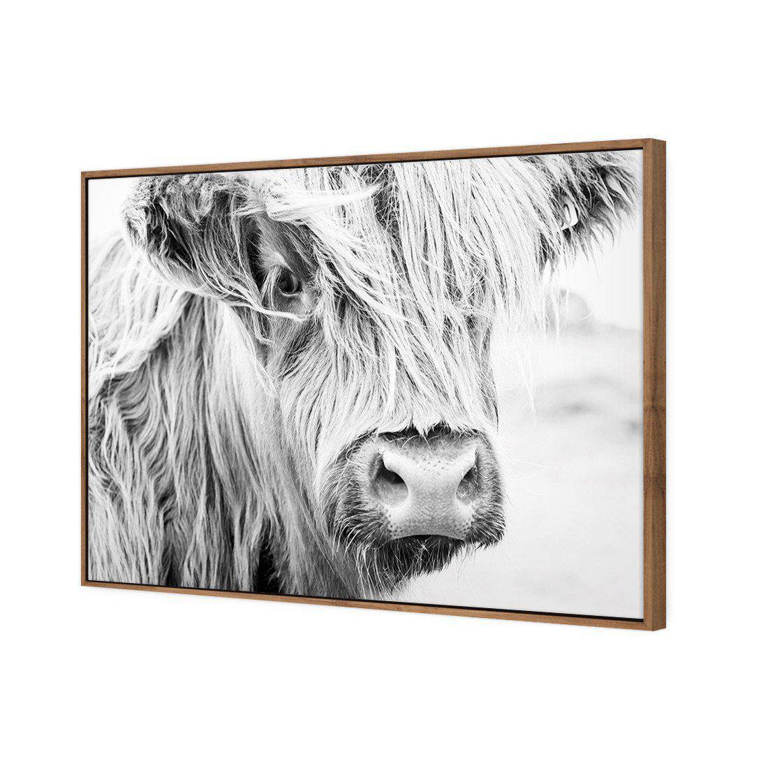 Henrietta the Highland Cow Canvas Art-Canvas-Wall Art Designs-45x30cm-Canvas - Natural Frame-Wall Art Designs