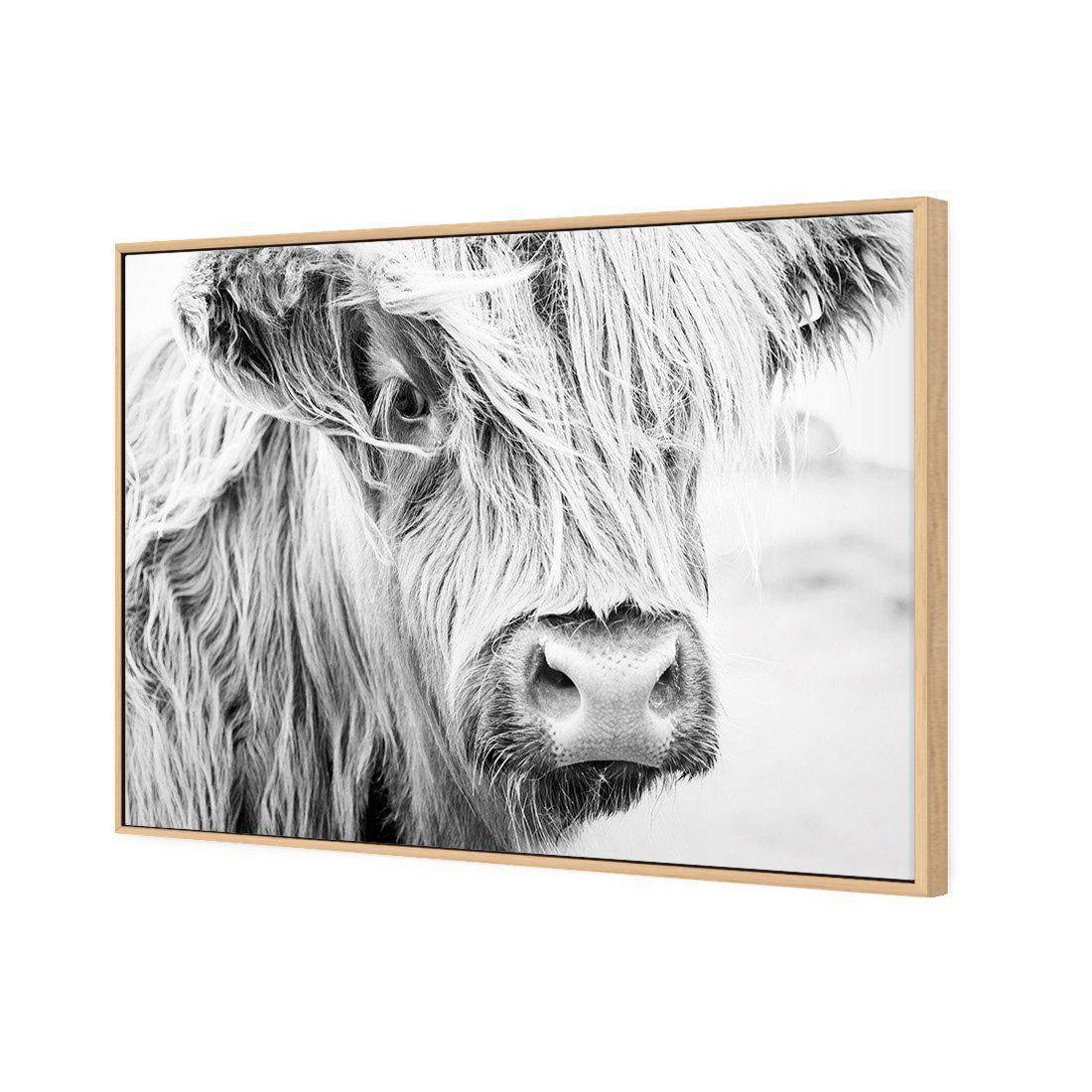 Henrietta the Highland Cow Canvas Art-Canvas-Wall Art Designs-45x30cm-Canvas - Oak Frame-Wall Art Designs