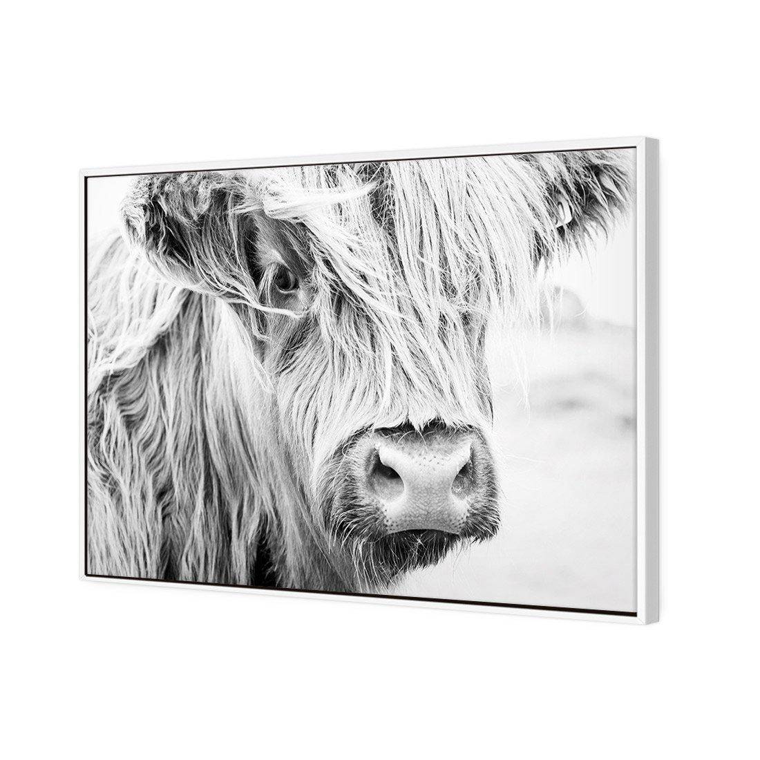 Henrietta the Highland Cow Canvas Art-Canvas-Wall Art Designs-45x30cm-Canvas - White Frame-Wall Art Designs