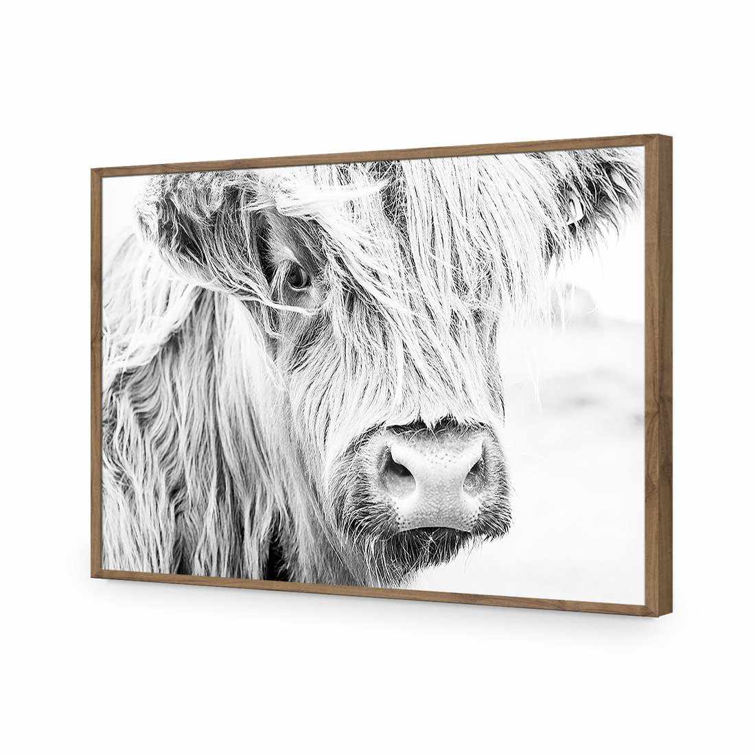 Henrietta the Highland Cow-Acrylic-Wall Art Design-Without Border-Acrylic - Natural Frame-45x30cm-Wall Art Designs
