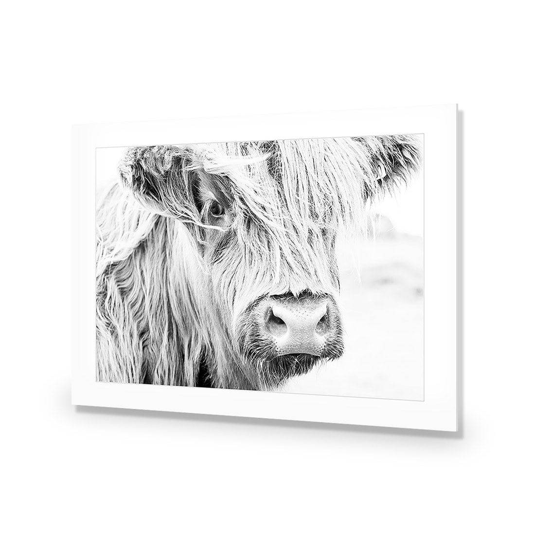 Henrietta the Highland Cow-Acrylic-Wall Art Design-With Border-Acrylic - No Frame-45x30cm-Wall Art Designs