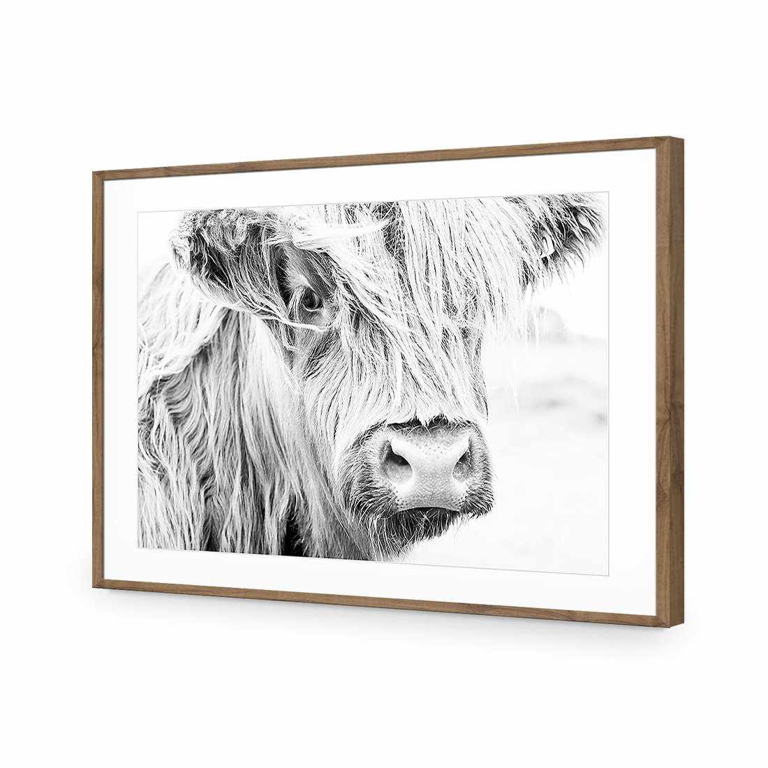 Henrietta the Highland Cow-Acrylic-Wall Art Design-With Border-Acrylic - Natural Frame-45x30cm-Wall Art Designs
