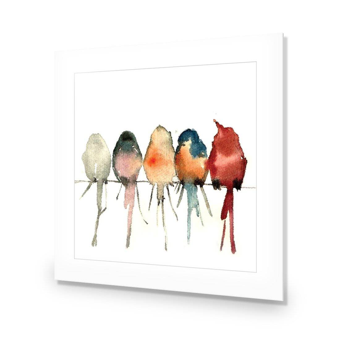 Watercolour Birds on Branch-Acrylic-Wall Art Design-With Border-Acrylic - No Frame-37x37cm-Wall Art Designs
